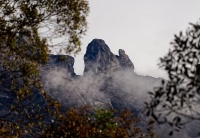 Borneo - Mt Kinabalu o4591